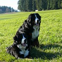 Indi_Hot ShotP1190465
